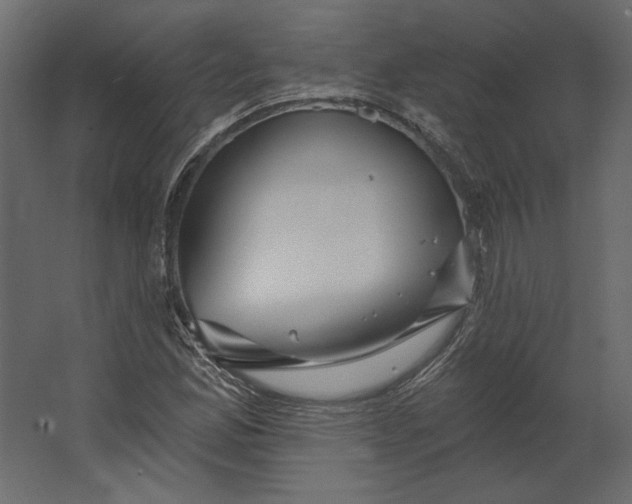 X0000067471165200604211559