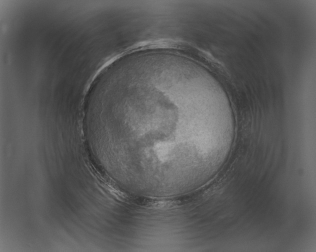 X0000067471166200604211559