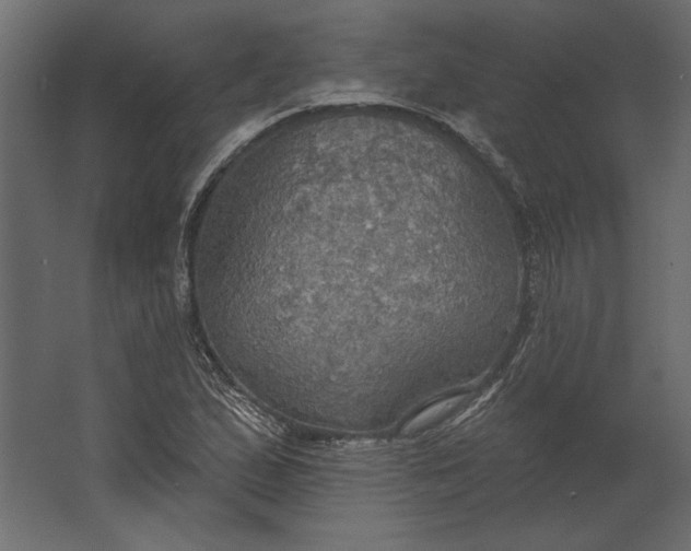 X0000067471167200604211559