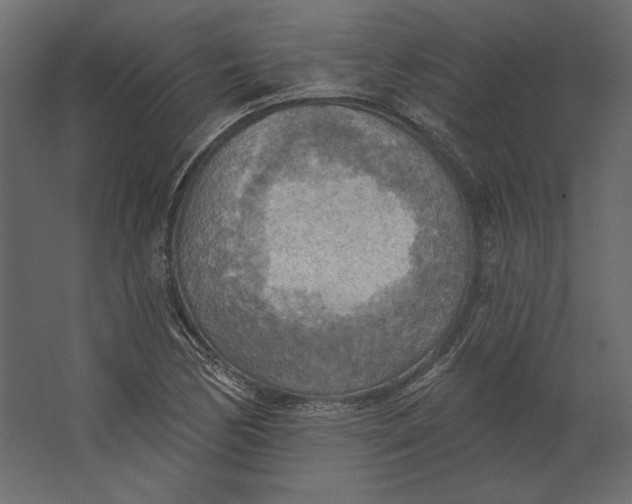 X0000067471170200604211559