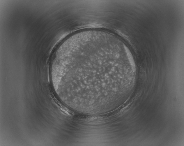 X0000067471171200604211559