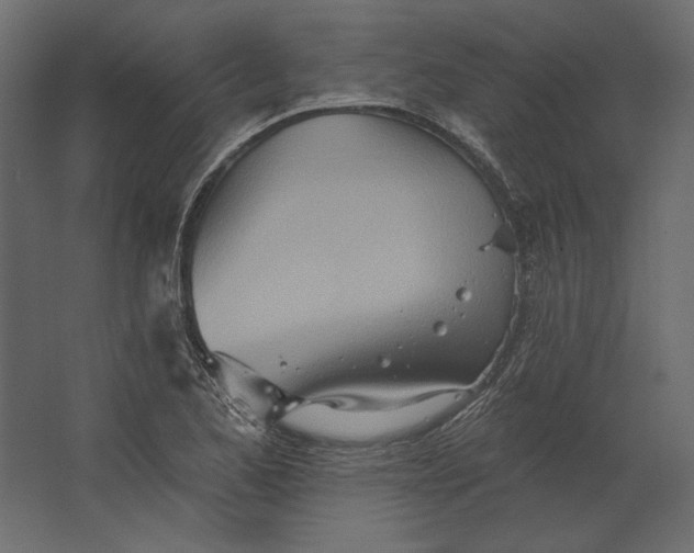 X0000067471173200604211559