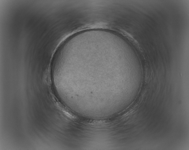 X0000067471174200604211559