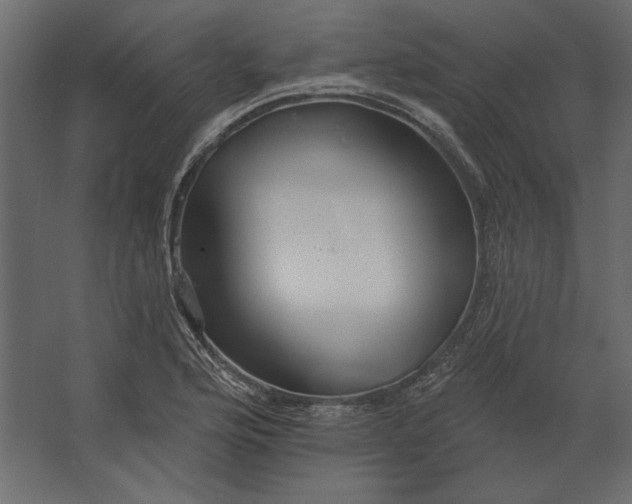 X0000067471176200604211559