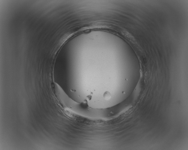 X0000067471177200604211559