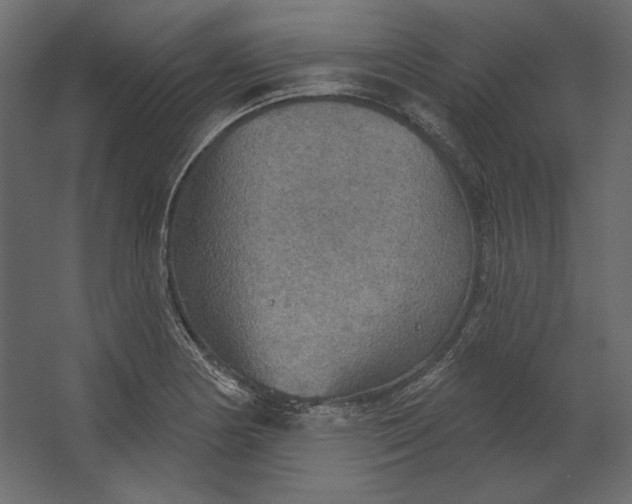 X0000067471178200604211559