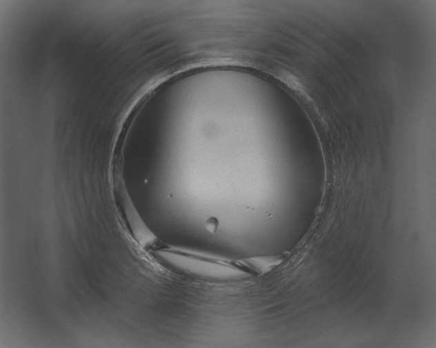 X0000067471181200604211559