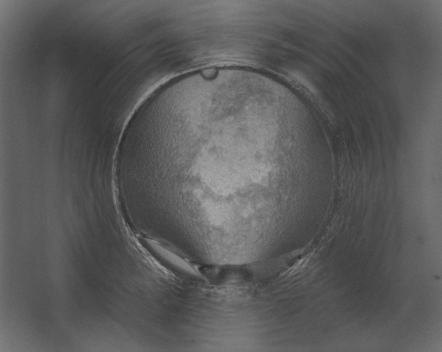 X0000067471182200604211559