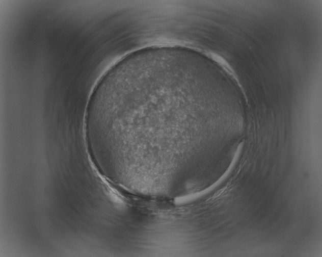 X0000067471183200604211559