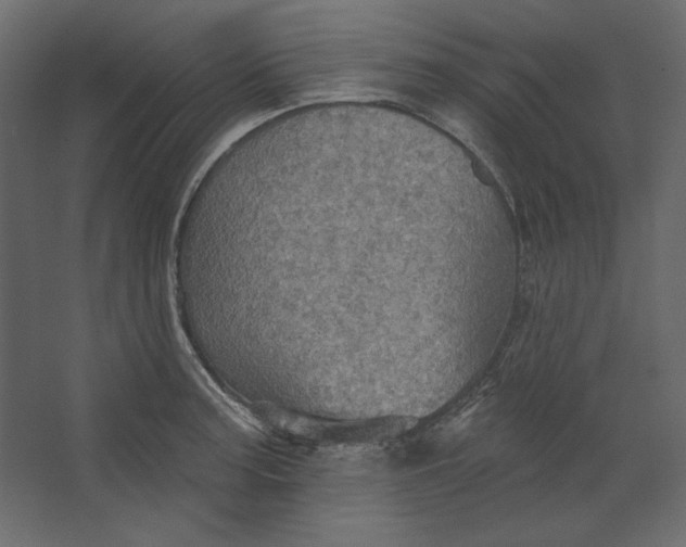 X0000067471187200604211559