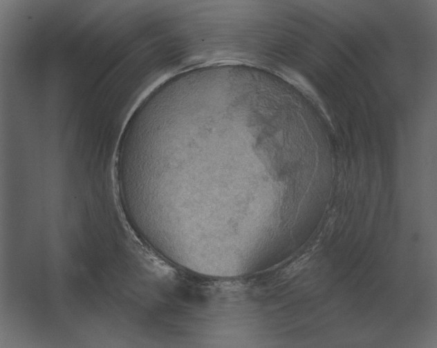 X0000067471190200604211559