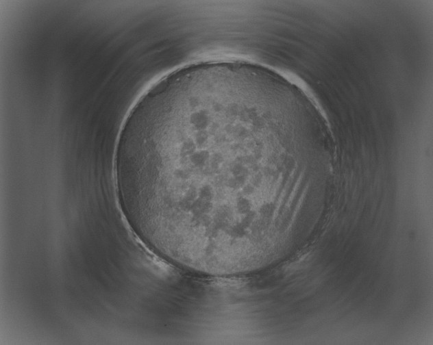 X0000067471191200604211559