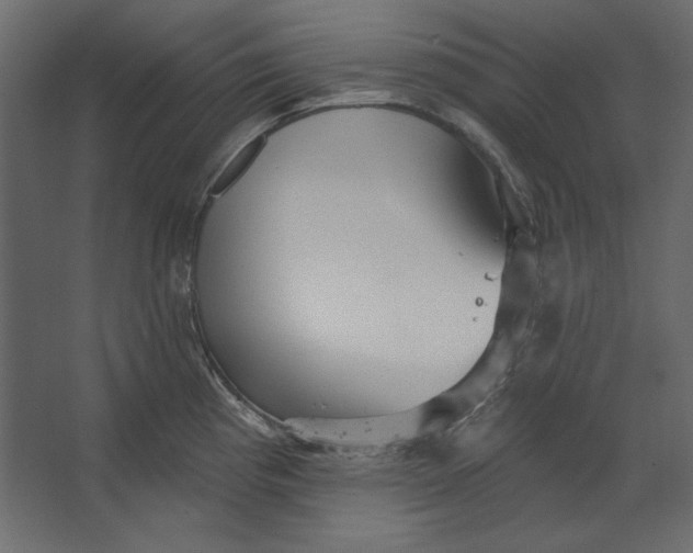 X0000067471193200604211559