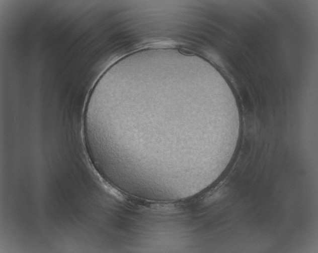 X0000067471194200604211559