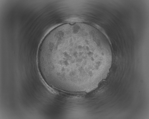 X0000067471195200604211559