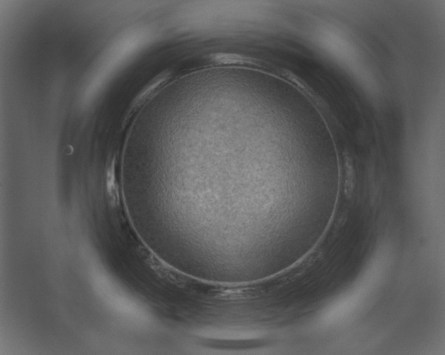 X0000067471198200604211559