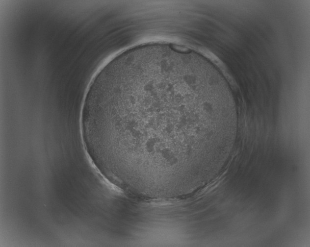 X0000067471199200604211559