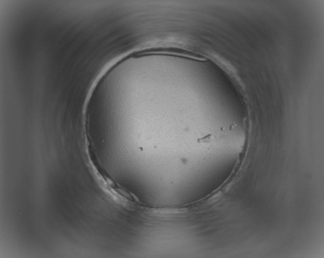 X0000067471200200604211559