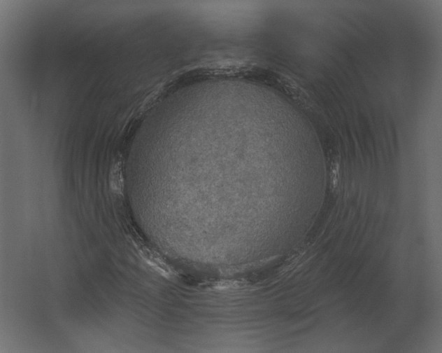 X0000067471204200604211558