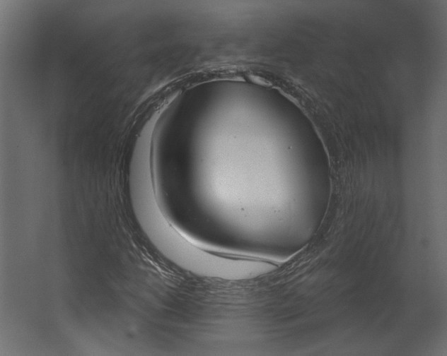 X0000067471206200604211558