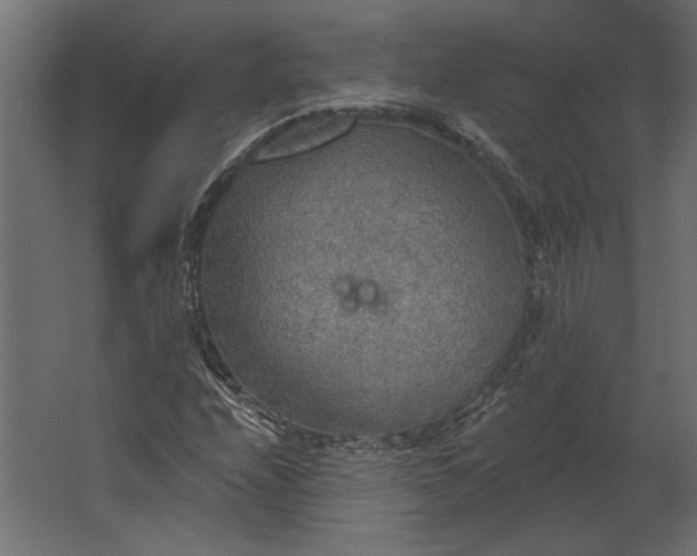 X0000067471208200604211558