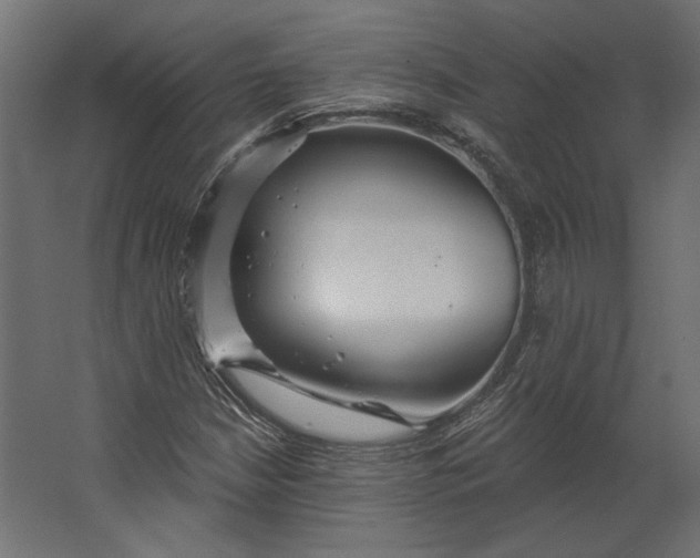 X0000067471210200604211558