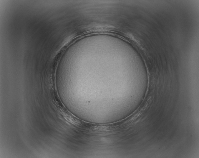 X0000067471211200604211558