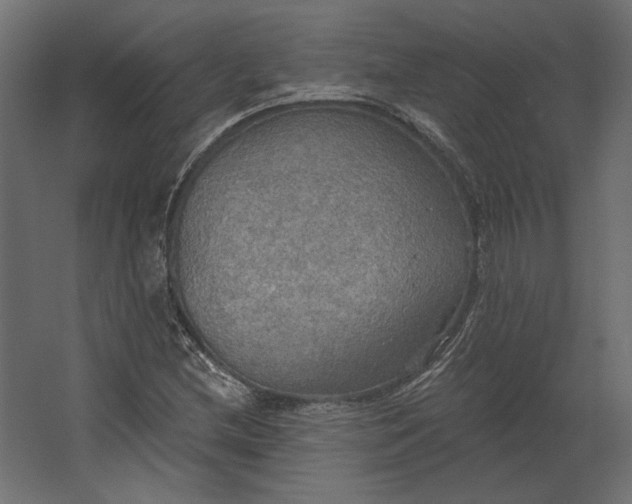 X0000067471212200604211558