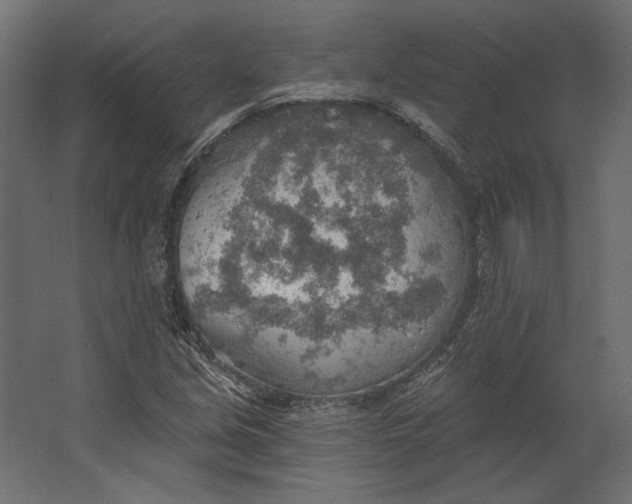 X0000067471213200604211558