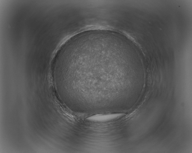 X0000067471215200604211558