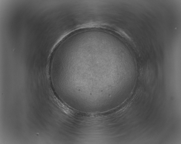 X0000067471216200604211558