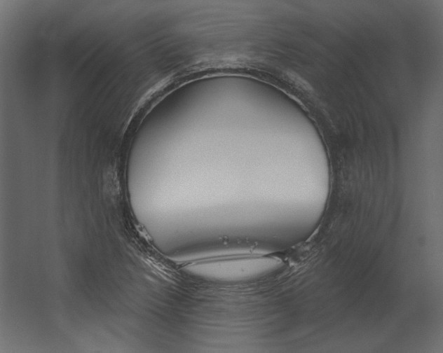 X0000067471218200604211558