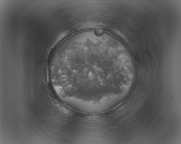 X0000067471219200604211558