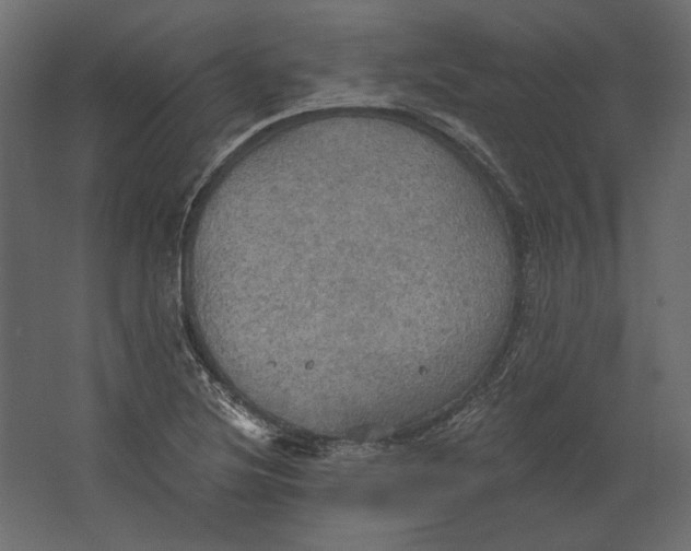 X0000067471220200604211558