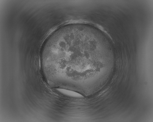 X0000067471221200604211558