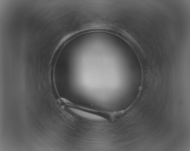 X0000067471222200604211558