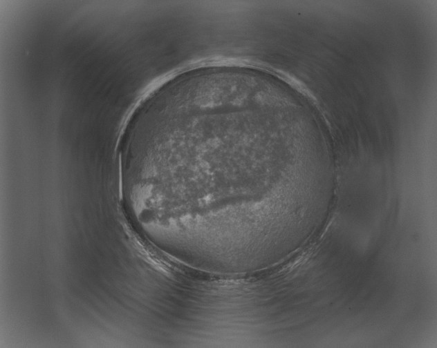 X0000067471223200604211558