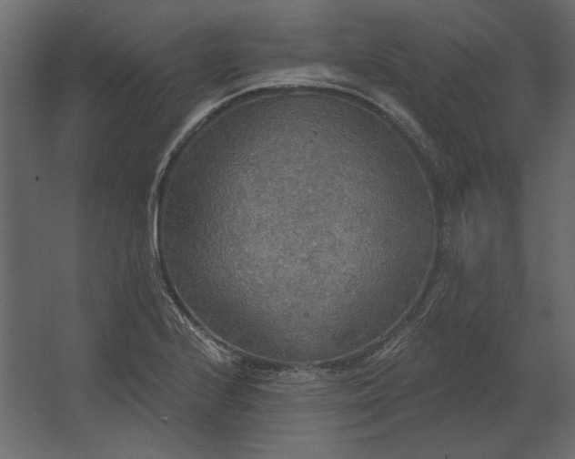 X0000067471224200604211558