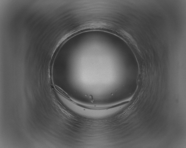 X0000067471226200604211558