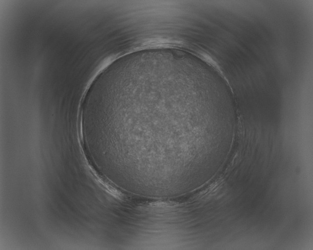 X0000067471227200604211558