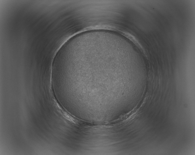 X0000067471228200604211558