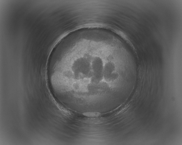 X0000067471229200604211558