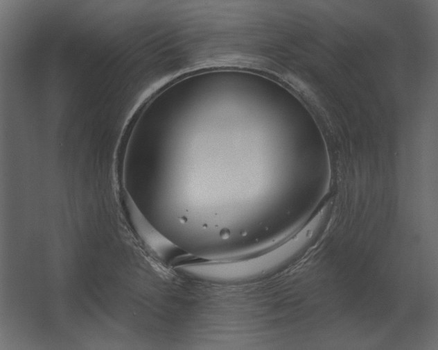 X0000067471230200604211558