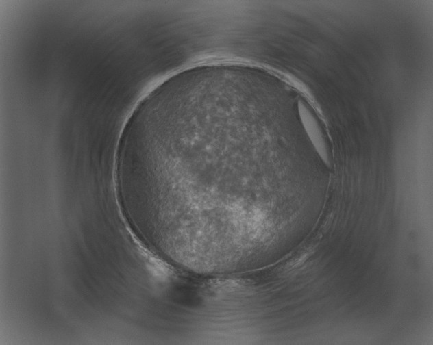 X0000067471231200604211558