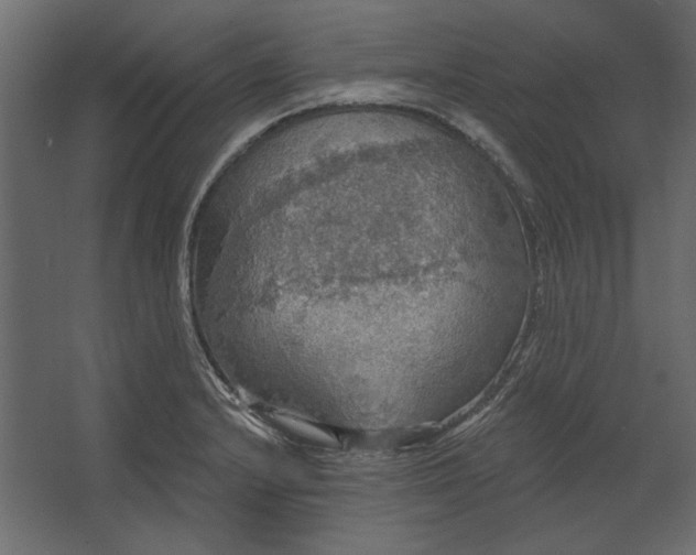 X0000067471232200604211558