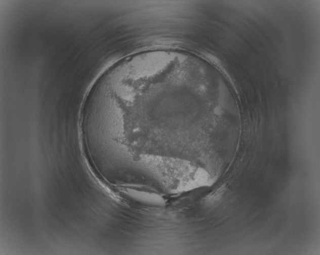 X0000067471235200604211558