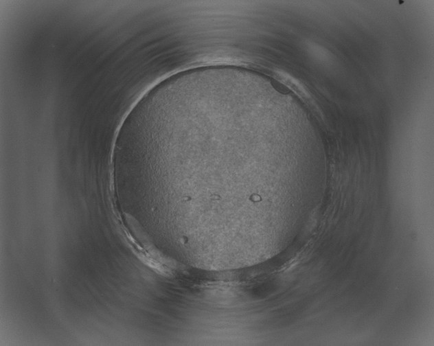 X0000067471236200604211558