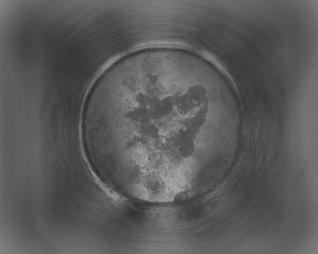 X0000067471237200604211558