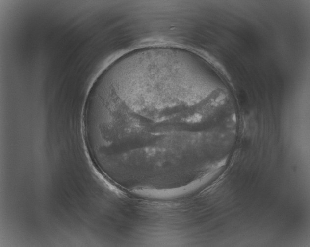 X0000067471239200604211558