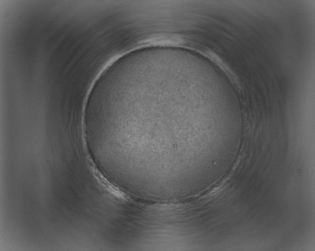 X0000067471240200604211558